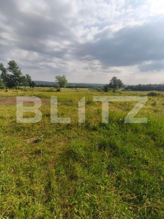 Casa de vânzare 3 camere Radauti - 172691CV | BLITZ Suceava | Poza8