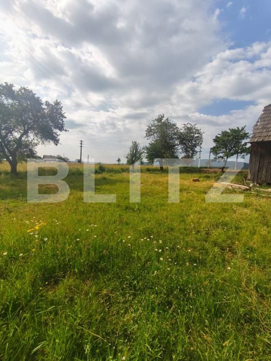 Casa de vânzare 3 camere Radauti - 172691CV | BLITZ Suceava | Poza12