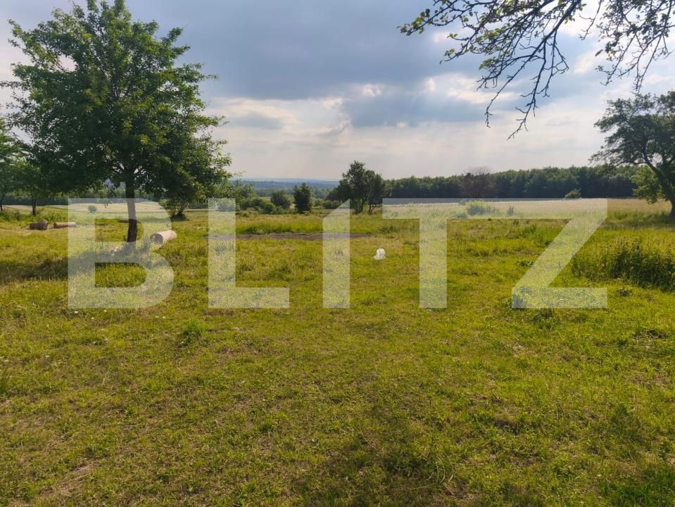 Casa de vânzare 3 camere Radauti - 172691CV | BLITZ Suceava | Poza9