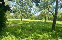 Teren de vânzare sucevita - 187025TV | BLITZ Suceava | Poza2