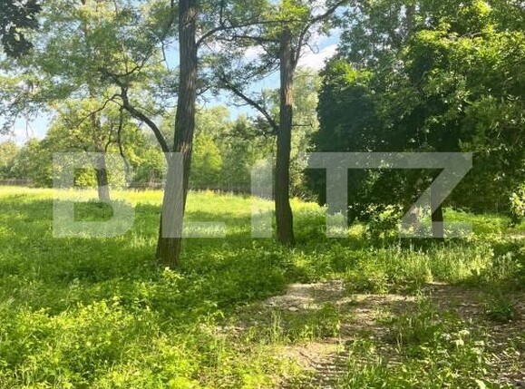 Teren de vânzare Vicovu de Sus - 172748TV | BLITZ Suceava | Poza2