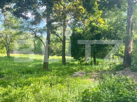 Teren de vânzare Vicovu de Sus - 172748TV | BLITZ Suceava | Poza3