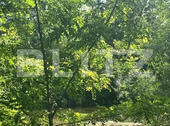 Teren de vânzare Vicovu de Sus - 172748TV | BLITZ Suceava | Poza6