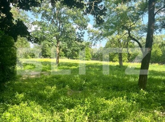 Teren de vânzare Vicovu de Sus - 172748TV | BLITZ Suceava | Poza1