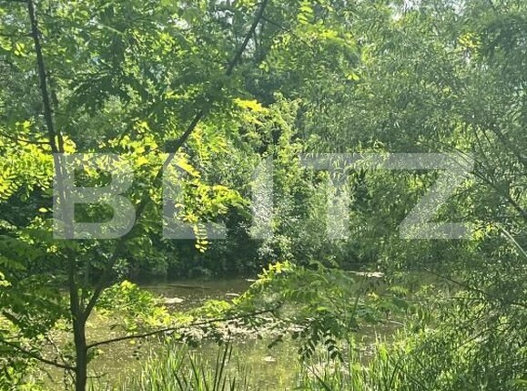 Teren de vânzare Vicovu de Sus - 172748TV | BLITZ Suceava | Poza5