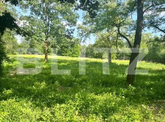 Teren de vânzare Vicovu de Sus - 172748TV | BLITZ Suceava | Poza7