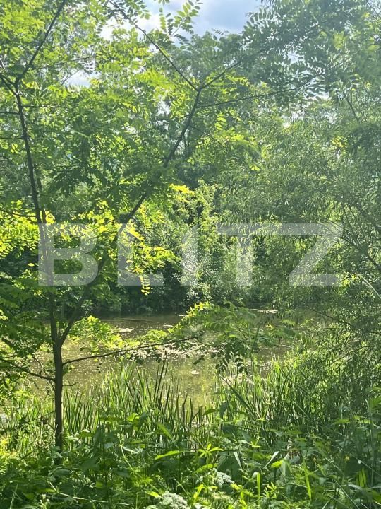 Teren de vânzare Vicovu de Sus - 172748TV | BLITZ Suceava | Poza5