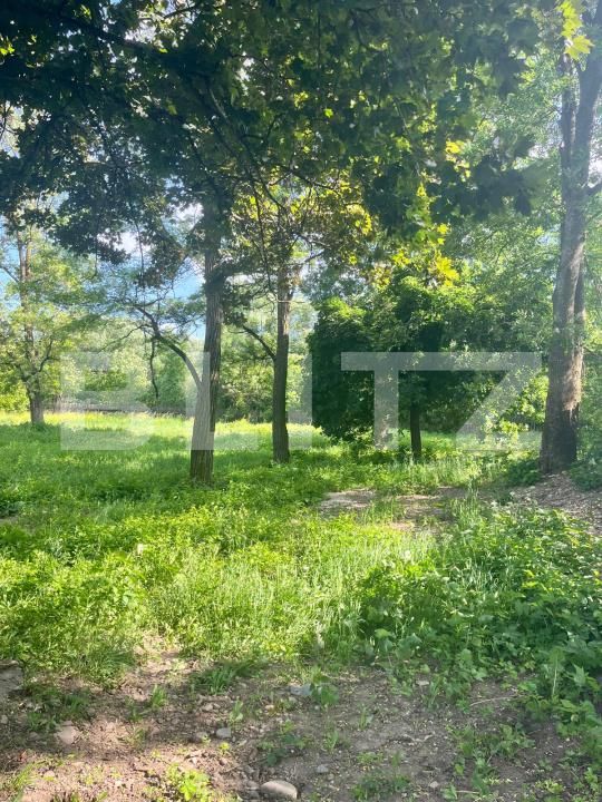 Teren de vânzare Vicovu de Sus - 172748TV | BLITZ Suceava | Poza3