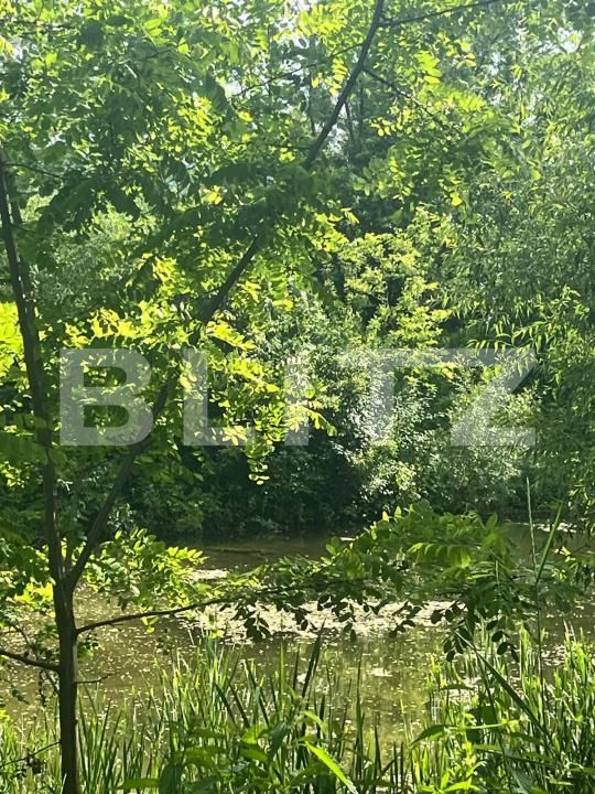 Teren de vânzare Vicovu de Sus - 172748TV | BLITZ Suceava | Poza4