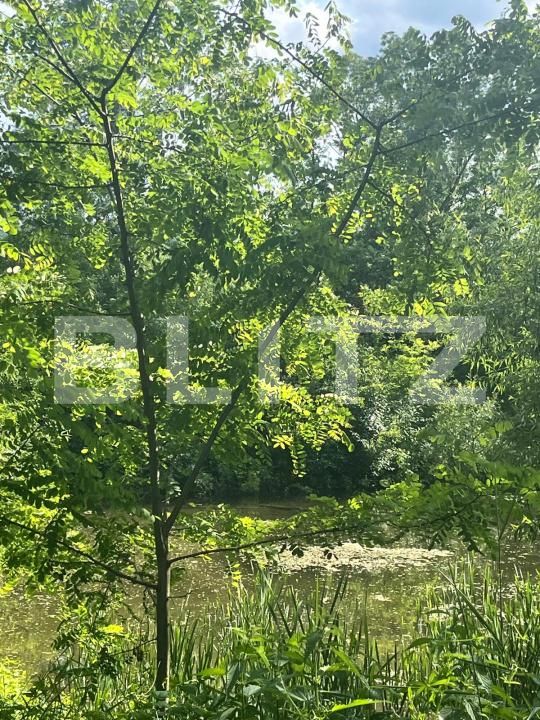 Teren de vânzare Vicovu de Sus - 172748TV | BLITZ Suceava | Poza6