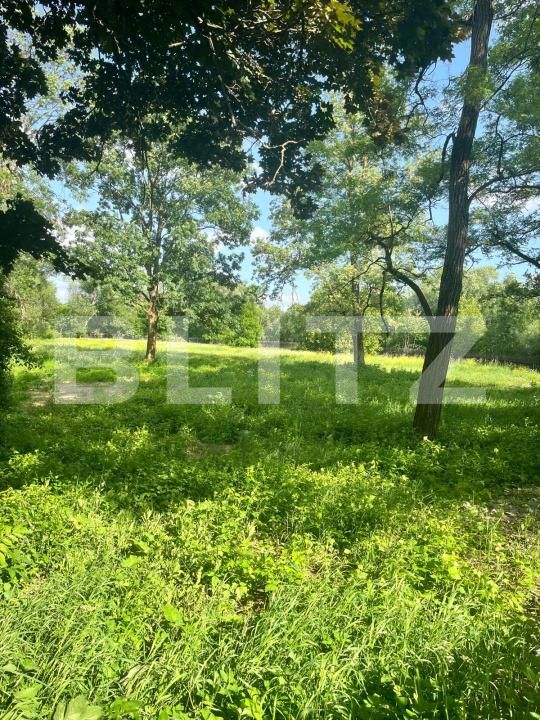 Teren de vânzare Vicovu de Sus - 172748TV | BLITZ Suceava | Poza7