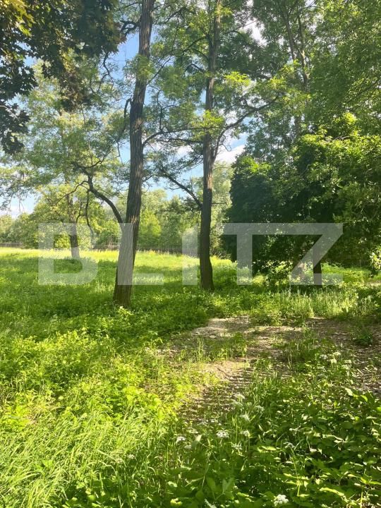 Teren de vânzare Vicovu de Sus - 172748TV | BLITZ Suceava | Poza2