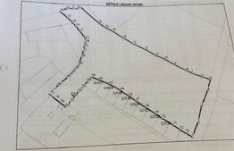 🏞️ Teren intravilan de vânzare – 18.580 mp în Neagra Șarului