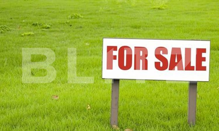 Teren de vânzare Vicovu de Jos - 172902TV | BLITZ Suceava | Poza1