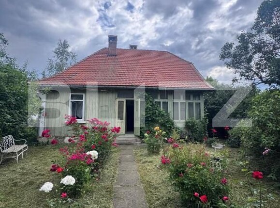 Casa de vânzare 4 camere Radauti - 172907CV | BLITZ Suceava | Poza4