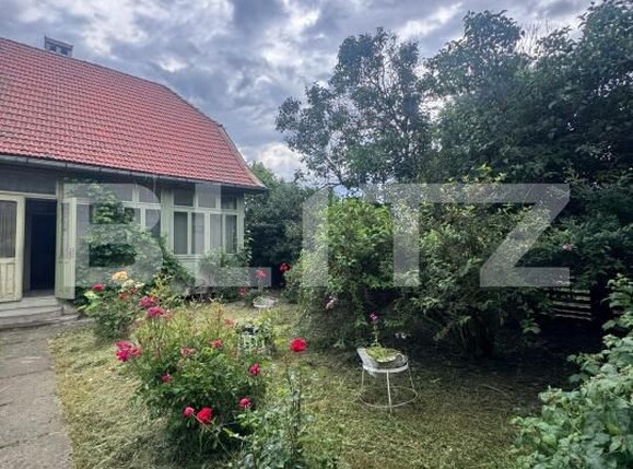 Casa de vânzare 4 camere Radauti - 172907CV | BLITZ Suceava | Poza3