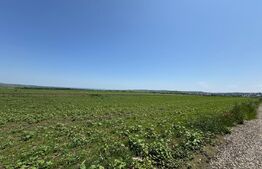 Teren intravilan de vanzare, 608 mp, zona rezidentiala Ipotesti 