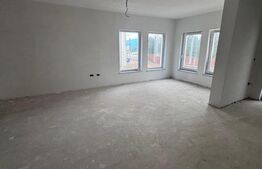 Ansamblu case insiruite , Radauti