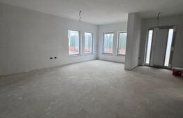 Ansamblu case insiruite , Radauti