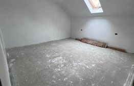 Ansamblu case insiruite , Radauti