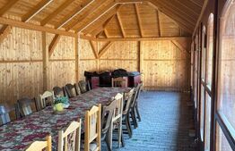 Casă individuală elegantă, cu grădină matură și teren generos – Călinești