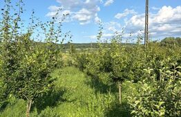 Casă individuală elegantă, cu grădină matură și teren generos – Călinești