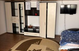 Casă individuală elegantă, cu grădină matură și teren generos – Călinești