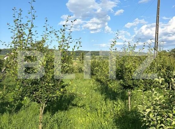 Casa de vânzare 10 camere Exterior Nord - 173027CV | BLITZ Suceava | Poza7