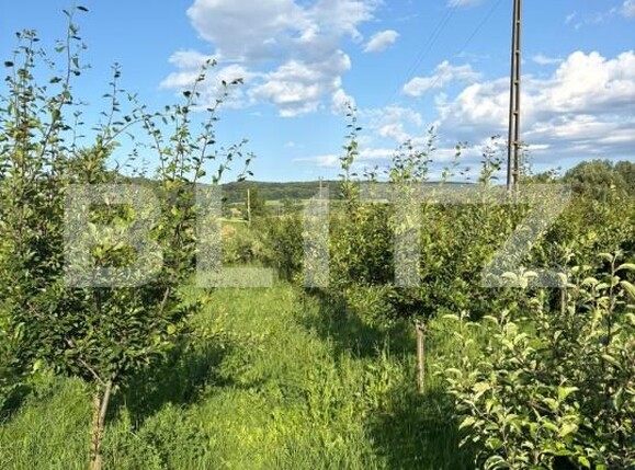 Casa de vânzare 10 camere Exterior Nord - 173027CV | BLITZ Suceava | Poza8