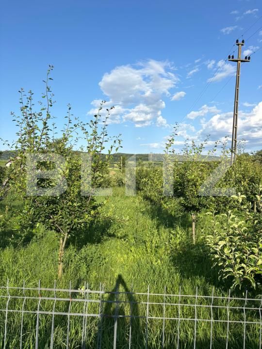 Casa de vânzare 10 camere Exterior Nord - 173027CV | BLITZ Suceava | Poza7