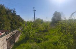 Teren intravilan, 2500mp, front 20ml, Radauti