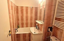 Garsoniera de vanzare, 46 mp, parter, zona Zamca