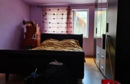 Case individuale, 300mp util,3000mp teren, zona Serbauti