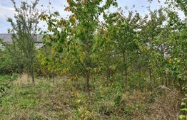 Case individuale, 300mp util,3000mp teren, zona Serbauti