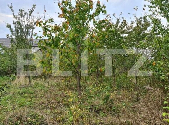 Casa de vânzare 10 camere Darmanesti - 173240CV | BLITZ Suceava | Poza5