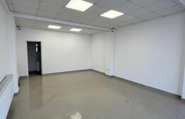 Spatiu comercial, 50 mp, Radauti, comision 0