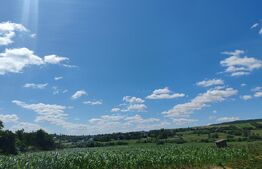 Teren 9600 mp si casa batraneasca demolabila, Dealu