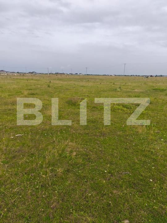 Teren de vânzare Fratautii Vechi - 173733TV | BLITZ Suceava | Poza2