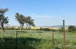 Casă bătrânească de vânzare în Bălăceana