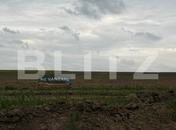 Teren de vânzare Salcea - 173749TV | BLITZ Suceava | Poza1