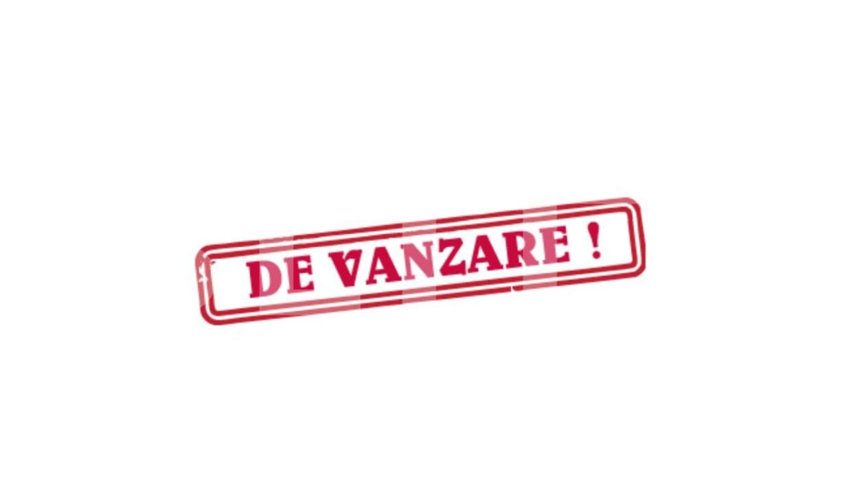 Teren de vânzare Salcea - 173749TV | BLITZ Suceava | Poza2