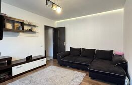 Apartament de vanzare, cu 2 camere, 40 mp, renovat complet, zone George Enescu