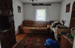 Casa batraneasca, teren 29 ari, Adancata