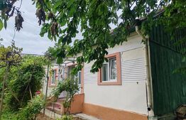 Casa batraneasca, teren 29 ari, Adancata