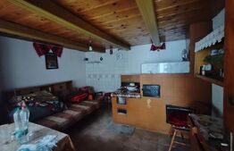 Casa batraneasca, teren 29 ari, Adancata