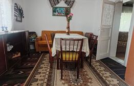 Casa batraneasca, teren 29 ari, Adancata