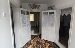 Casa batraneasca, teren 29 ari, Adancata