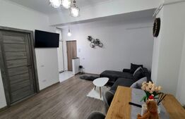 Apartament modern de inchiriat, 2 camere, cartier Burdujeni