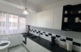 Apartament modern de inchiriat, 2 camere, cartier Burdujeni