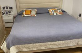 Casă de vânzare în Voroneț, 250 mp